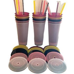 15 Reusable Cold Drink Water Tumbler Cups + Straws & Lids - Pool Party, 24oz NEW